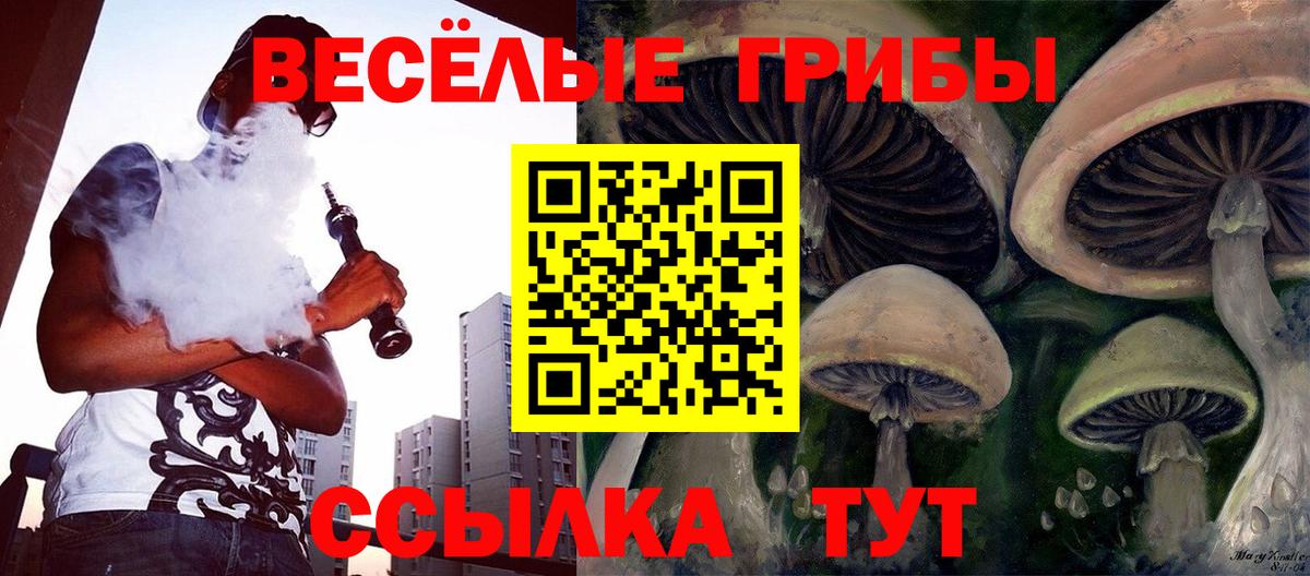Донецк  Галлюциногенные грибы GOLDEN TEACHER  Вход с VPN 